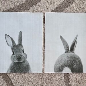 Gray Rabbit Canvas Art Set